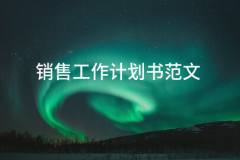 2025年发卖工做打算书范文